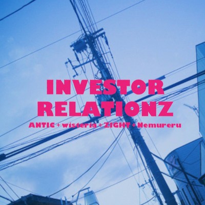 INVESTOR RELATIONZ
