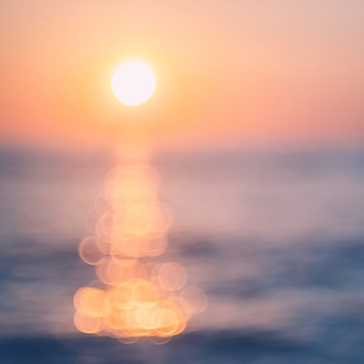 Opus.Dawn