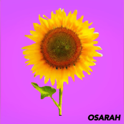 SAFFRON AND SUNFLOWER