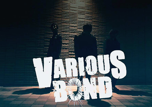 VARIOUS BOND