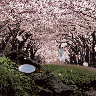 Sakura