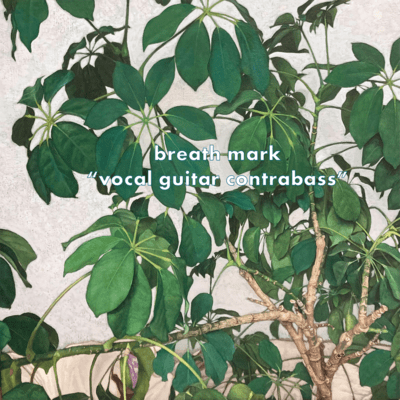 vocal guitar contrabass