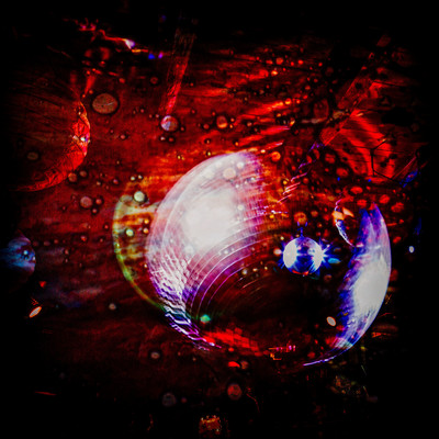 Wilderness of False Flowers_1976