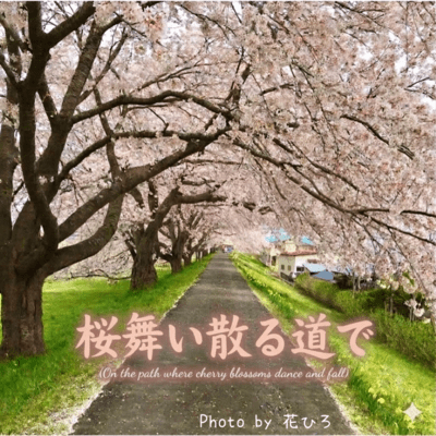 On the road where cherry blossoms are falling