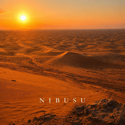 NIBUSU