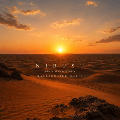 NIBUSU