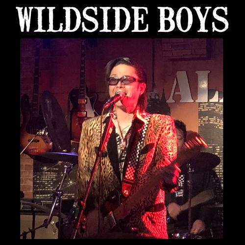WILDSIDE BOYS