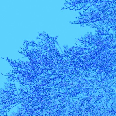 Aoinu