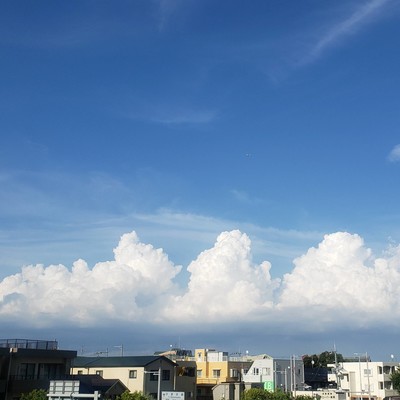 BEST3 Ordinary Song Of Remu Link