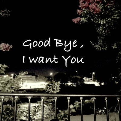 Good Bye , I want You (feat. Shohei Ikezumi)