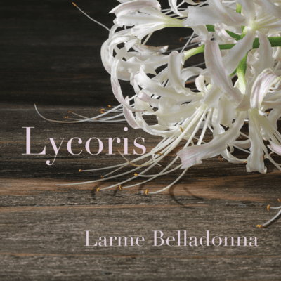 Lycoris