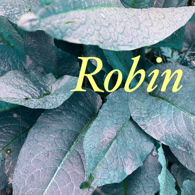 Robin