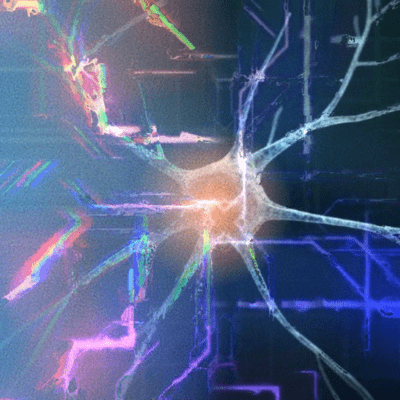 Synapse
