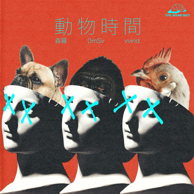 Animal Time