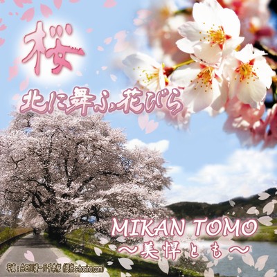Sakura the song of Japanese cherry blossoms