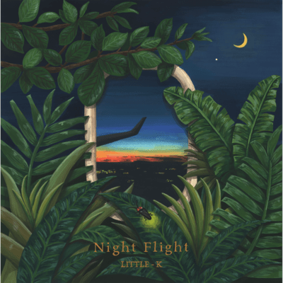 Night Flight