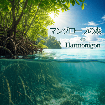 Mangrove forest