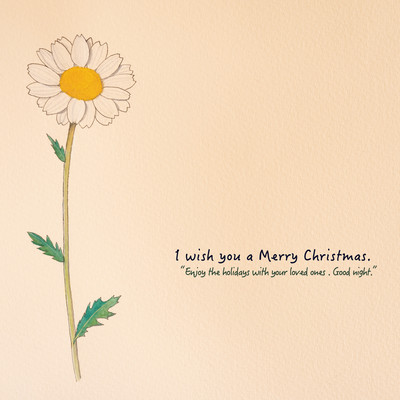 I wish you a Merry Christmas.