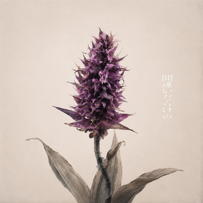 MATIGAIDARAKENO