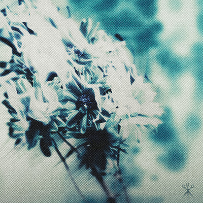 Death Of Me