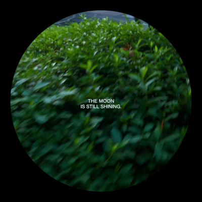 MOONGAZER (feat. HATSUNE MIKU)