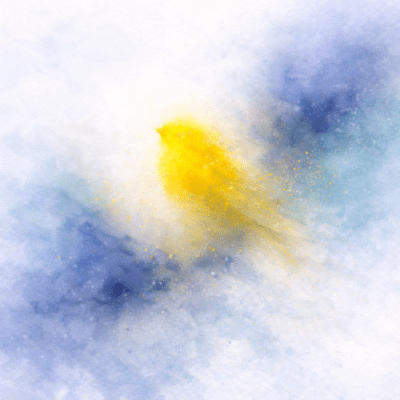 Canary