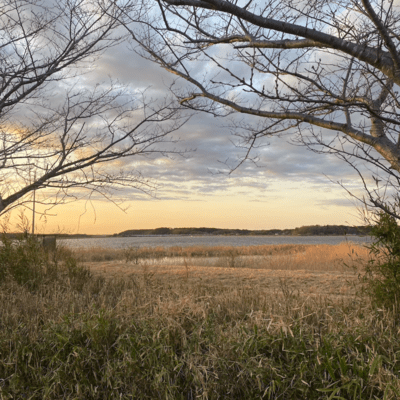 sachlich (Instrumental)