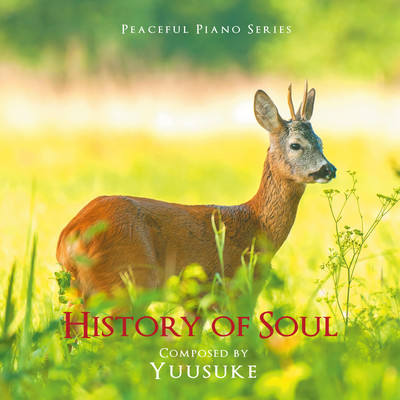 History of Soul -Peaceful Piano-