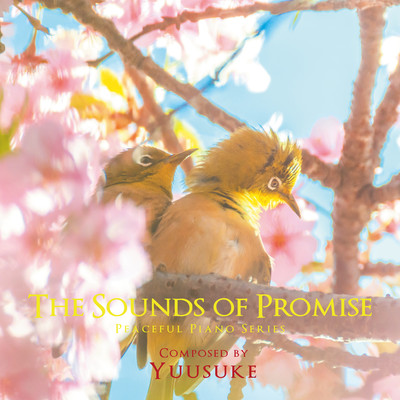 The Sounds of Promise