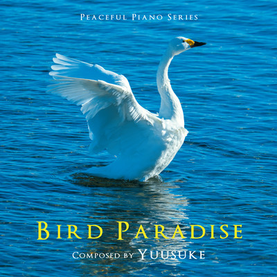 Bird Paradise