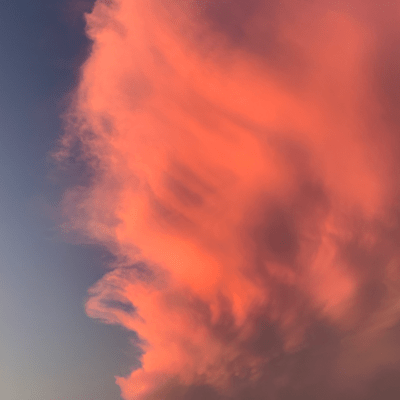 loose guidance (2024 remastered)