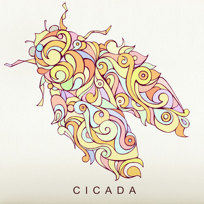 Cicada