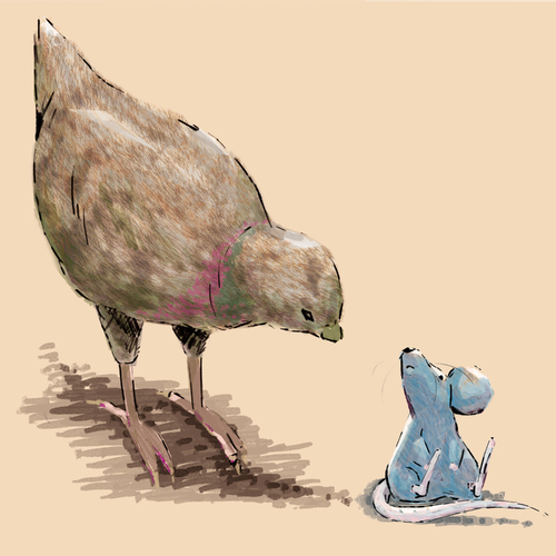 Nezumi Coo