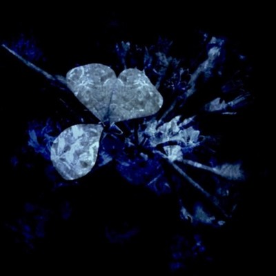 Anteinikiyu (feat. yukiko)