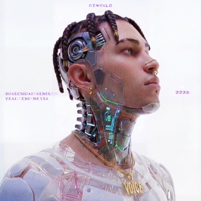 SURECHIGAI / 2222 (SURECHIGAI REMIX_2222)