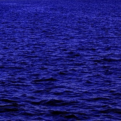 VIVA! NIPPON evolution