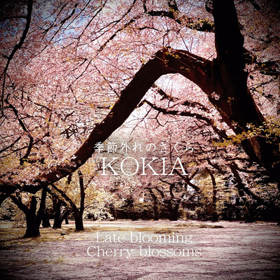 Late blooming Cherry blossoms