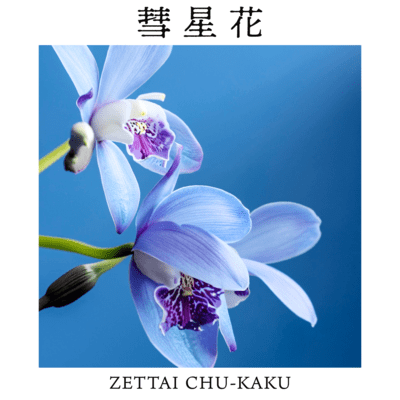 Odontoglossum