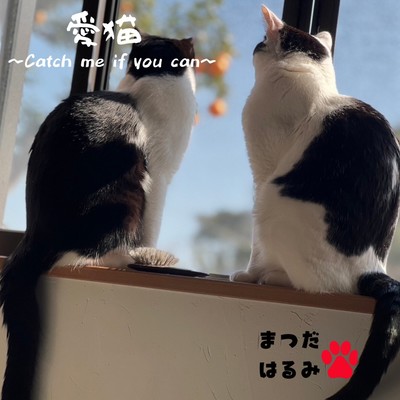 MANANEKO ~Catch me if you can~