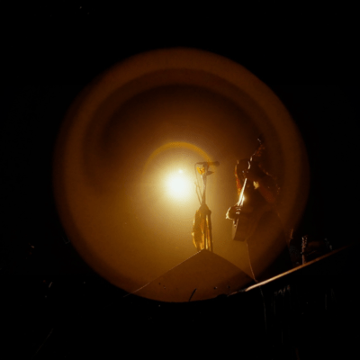 to be a bird (Live at Shibuya WWW, 2025)