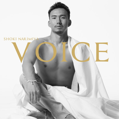 VOICE