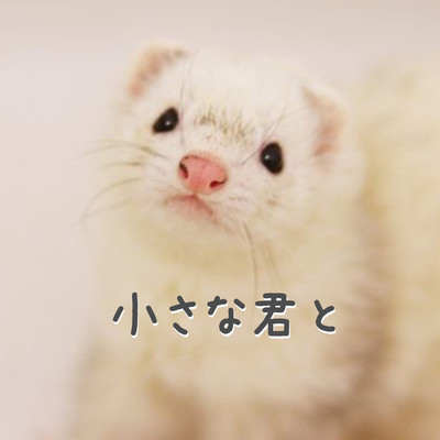 With little you