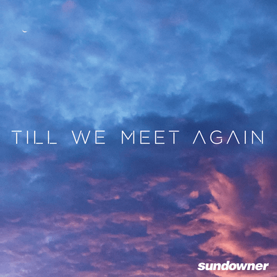 Till We Meet Again (feat. mii)