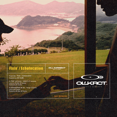 Fixin' / Echolocation