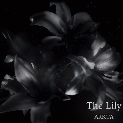 The Lily