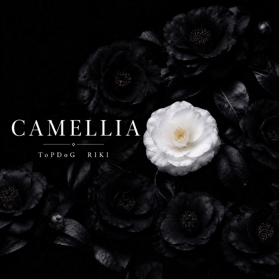 Camellia