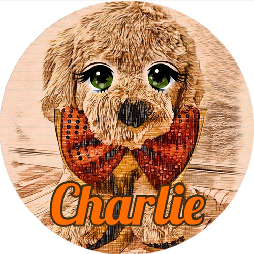 Charlie's Music Factory