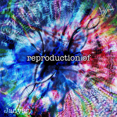Jadyss -reproduction of-