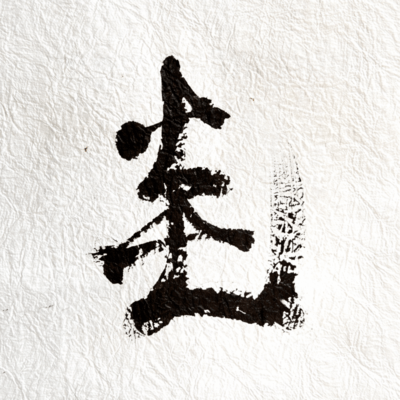 Steal the flames (feat. Nenoshin)