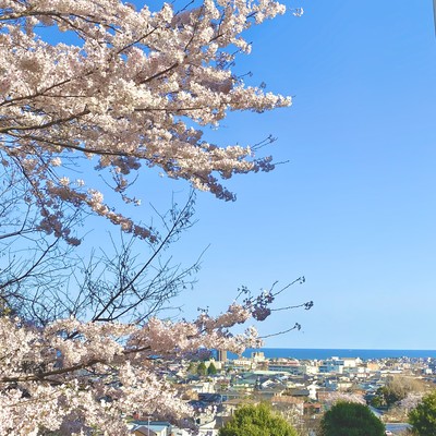 HITACHI